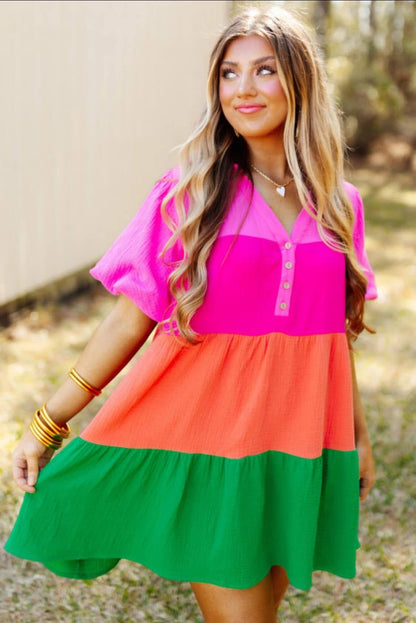 Kaylnn Multicolor block Dress